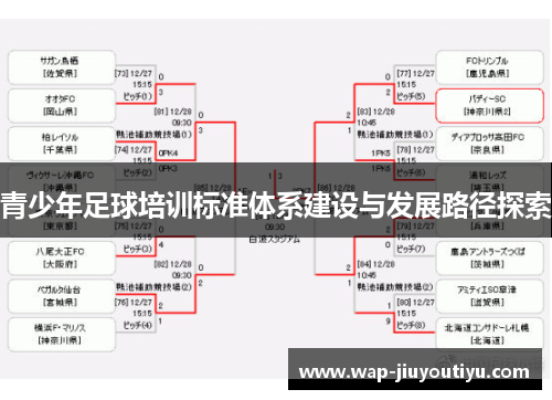 青少年足球培训标准体系建设与发展路径探索