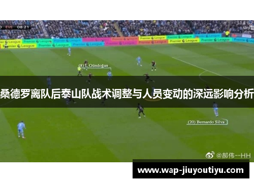 桑德罗离队后泰山队战术调整与人员变动的深远影响分析