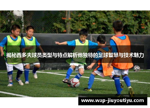 揭秘西多夫球员类型与特点解析他独特的足球智慧与技术魅力