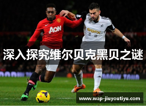 深入探究维尔贝克黑贝之谜